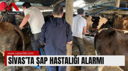 Sivas’ta Şap Hastalığı Alarmı