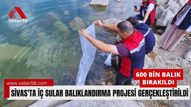 sivas balık proje (1)