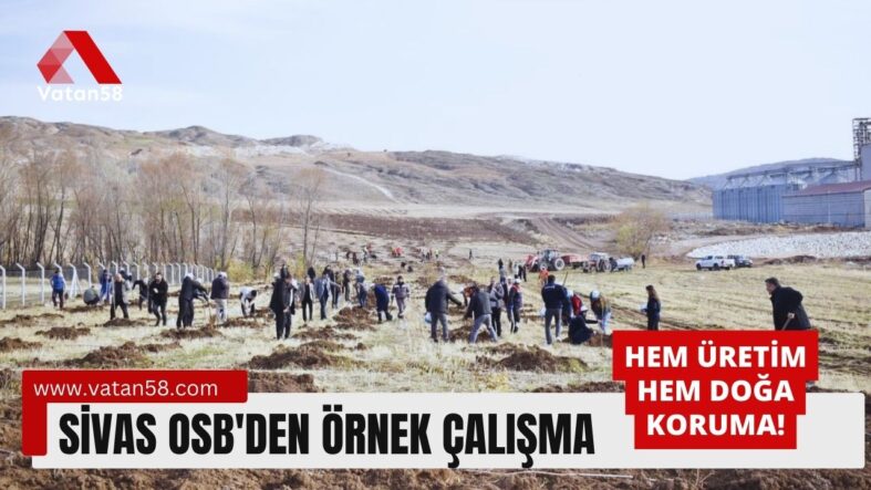 sivas osb (1)