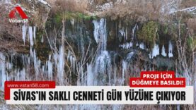 sivas yıldız (1)