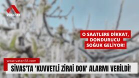 sivas soğuk