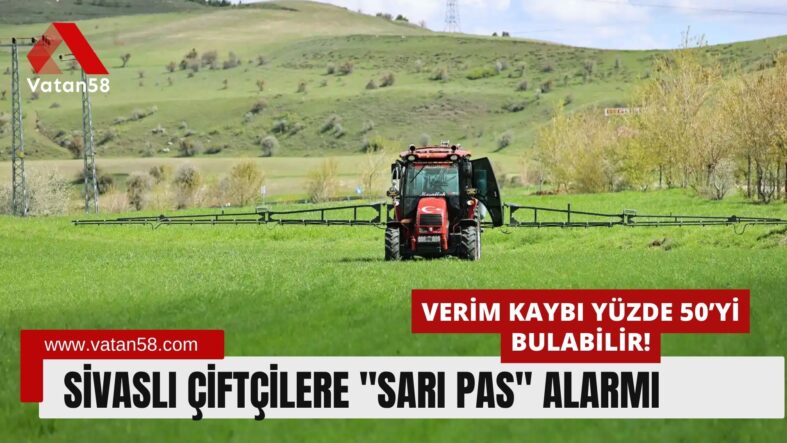 Sivaslı Çiftçilere “Sarı Pas” Alarmı: Verim Kaybı Yüzde 50’yi Bulabilir!