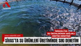 imranlı su (1)